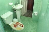 Casa La Regente | Havana Central | room for rent in centro habavana | casa particular